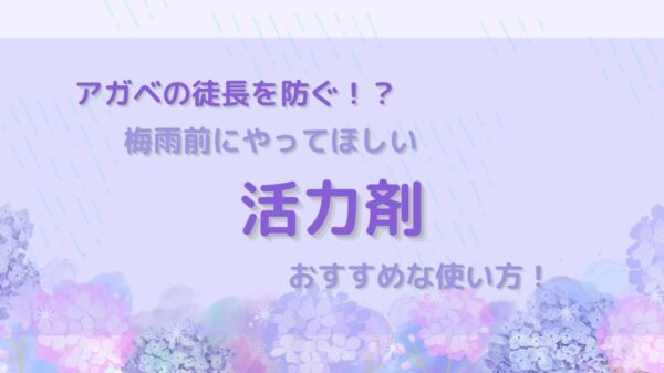 梅雨前にやってほしい！活力剤のおすすめな使い方