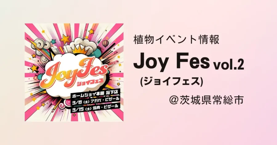 2025年も開催｜JoyFes vol.2のイベント情報@茨城県常総市