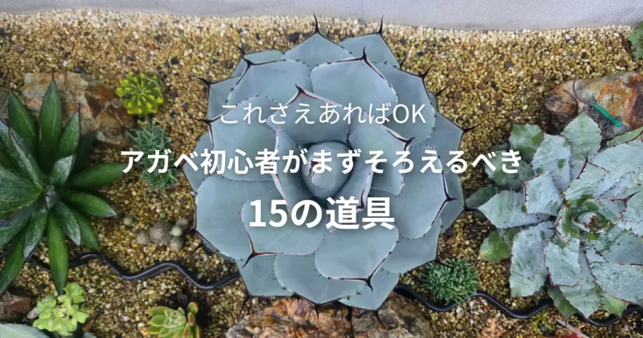 アガベ初心者がまずそろえるべき15の道具【これさえあればOK】