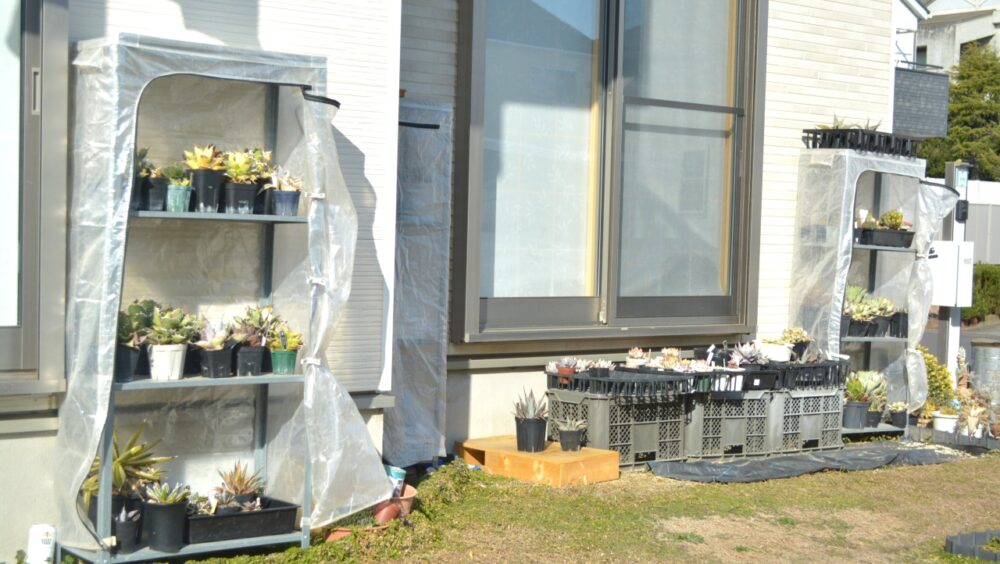 2026-02-15｜春を超えて暑い日