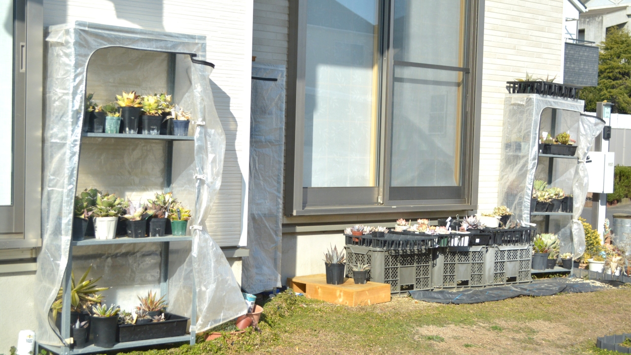 2026-02-15|春を超えて暑い日